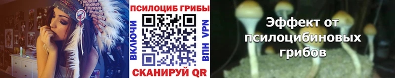 Галлюциногенные грибы Psilocybe  Шумиха 